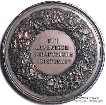 Памятная медаль 1847 г. Германия