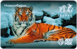 Билеты, талоны, карты для проезда в транспорте